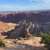 david ellis (@davidel35639752) 's Twitter Profile Photo