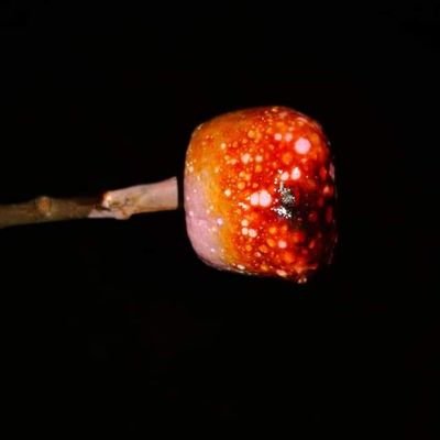 kelt80's profile picture. proud mummy to 4 lovely kiddies!!!