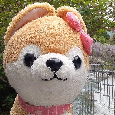 じんびさんのプロフィール画像