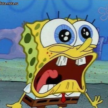 marina_maritimo's profile picture. 