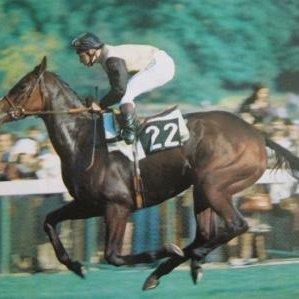 ALMAEST98103333's profile picture. 