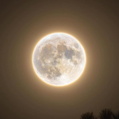 There are nights when the wolves are silent and only the moon howls. #moon $moon