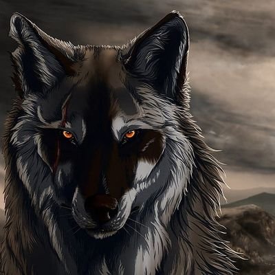 Mayhem9841's profile picture. Dominant,Software Engineer,INTJ-T