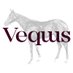 VEQUUS Subastas de PSI (@vequuspsi2023) Twitter profile photo VEQUUS Subastas de PSI (@vequuspsi2023) Twitter profile photo