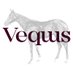 VEQUUS Subastas de PSI (@VequusPSI2023) Twitter profile photo