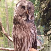 🐻battery🐻 (@battery2154) 's Twitter Profile