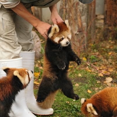 rikugyao40673's profile picture. 投資、勉強、絵師様、サブカル、アングラ、いろいろと拝見するアカウント
無言フォロー失礼致します
リツイートばかりです
やっとアッパーマス
まだ20代だ
犬好き