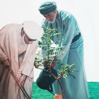 ابو حمد (@dodvusrdmifcgjh) 's Twitter Profile