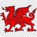 Napo Cymru (@napo_cymru) Twitter profile photo