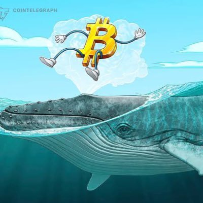 ajskdlazmd's profile picture. Real star. not a developer. Posts are for informational purposes only and are not financial advice. dm for collaborations 📨