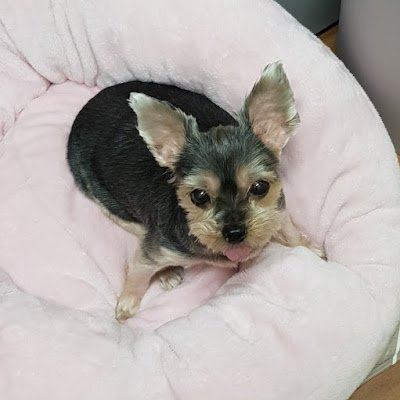 gwondoy5929911's profile picture. 
