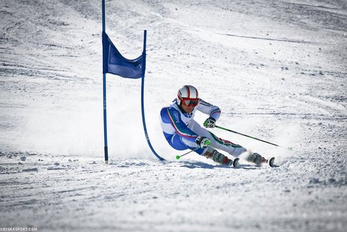Alpine Skier