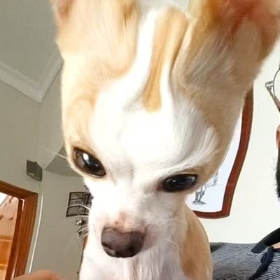 Ingeniero informático. Desarrollador de software
https://t.co/XI8llDHKBB - Videojuego de terror