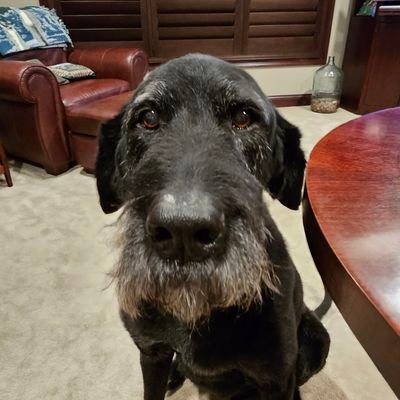 SteveEdinger2's profile picture. Business owner/operator... a self thinker, not one of them!!💯... Common sense is natural for me... sick of the constant BS in the 🇺🇲