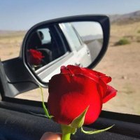 زینب آزاد (@zedalef70) 's Twitter Profile
