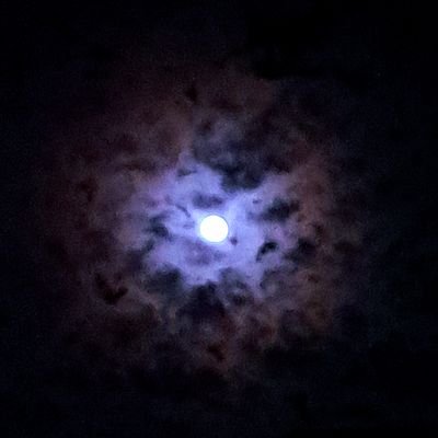 cloud2_0120's profile picture. 匿名提問／Nickname Q&A：
https://t.co/r8CC7zj095