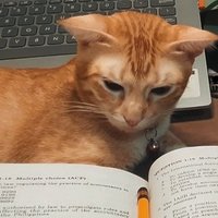 mik² | °♪★· (@mik43l418) 's Twitter Profile