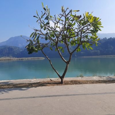 @AbhayRatho59687