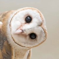 JWatson (@jamesw5000) 's Twitter Profile
