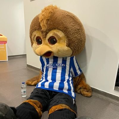 Along with my partner in crime @BarneyOwl67, I am one of the Match day mascots at #SWFC Views are mine and mine alone