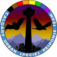 Calgary Urban Species Response Team (CUSRT)(@CalgaryResponse) 's Twitter Profile Photo