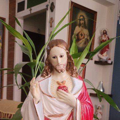 Sacerdote católico. Psicoterapeuta. Párroco de @prdelsenor. Director de la @capellaniauc y Capellán del @Magallanes_bbc y @trotamundosbbc1 instag: @Joeldejesusn