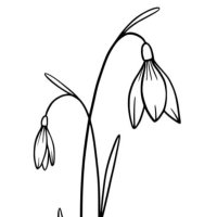 Maddie and Elle (@snowdropuhbw) 's Twitter Profile