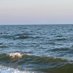 on the sea (@codomo1919) Twitter profile photo on the sea (@codomo1919) Twitter profile photo