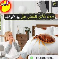 شركة رش مبيدات الحشرات بالرياض0560603566(@2233gbm) 's Twitter Profile Photo