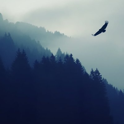 annalinke89's profile picture. 