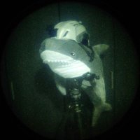 やしおじさん (@yashi_climber) 's Twitter Profile Photo