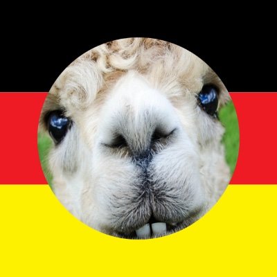 Patriot und Klardenker. Make GERMANY great again 👍 #Stolzmonat
