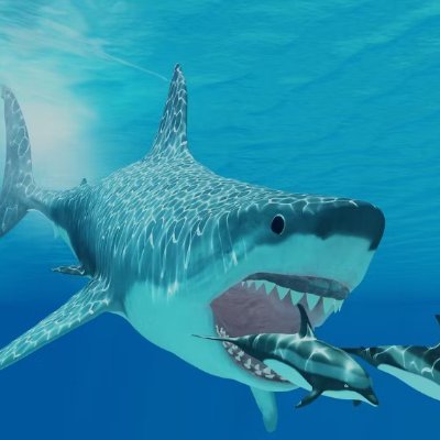 megalodon_btc Profile Picture