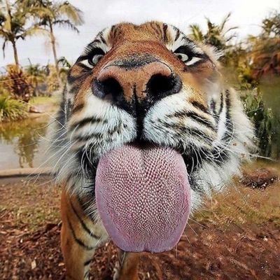 Olaitankay's profile picture. Be Considerate