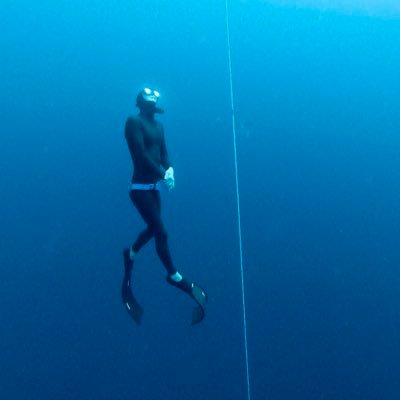 derellgeide's profile picture. Animal & nature lover. Good food. Freediver. Drummer. All things Tesla & solar/batteries. Most importantly, I love women & detest golf.