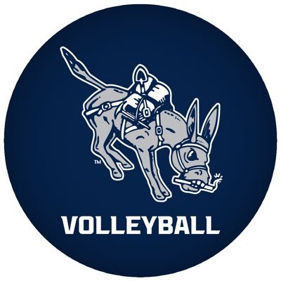 Mines Volleyball