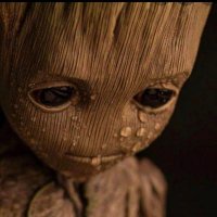 GROOT …(@Grootlangston) 's Twitter Profile Photo