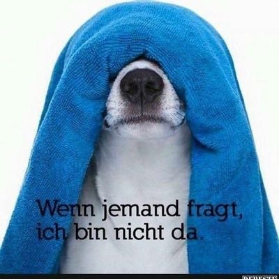 TulyHoTro's profile picture. Der Kaiser ist nackt 😜