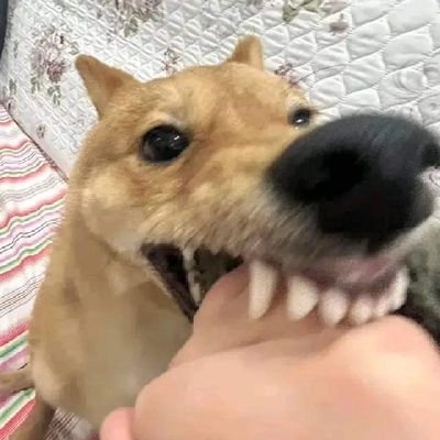Dan Juxed ✨さんのプロフィール画像
