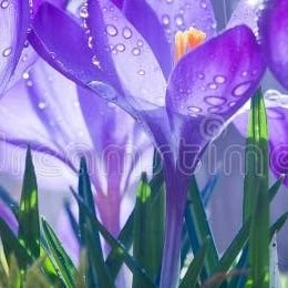 unique__s_05's profile picture. 