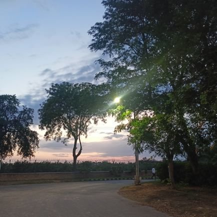 Pooja80820055's profile picture. PhD Scholar ,Vegetable Science, CCSHAU, HISAR