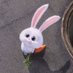 bunnie🐰 (@hallo_bunnie) Twitter profile photo bunnie🐰 (@hallo_bunnie) Twitter profile photo