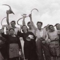 Si seguiva la pista anarchica (@lupo_5_5xx) 's Twitter Profile