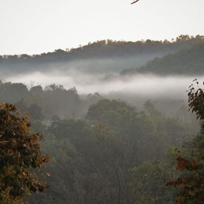 Appalachian Schizo