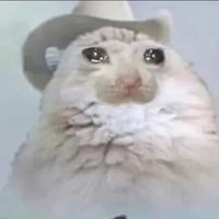 Hubert (@hubert59029544) 's Twitter Profile