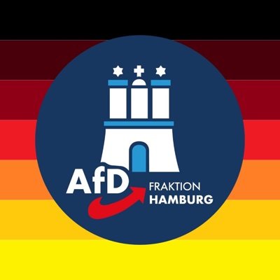 AfD_Fraktion_HH Profile Picture