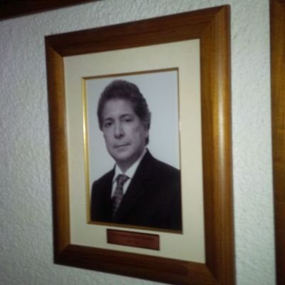 Presidente del Centro de Ingenieros del Área Metropolitana 1996-1999.