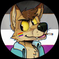 Dirt Coyote(@DirtCoyote) 's Twitter Profile Photo