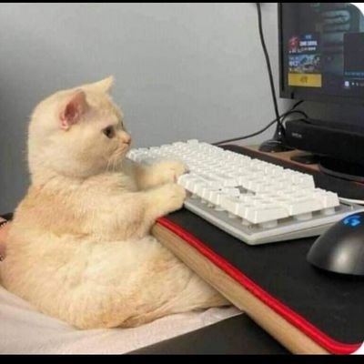 meomeomeeooo's profile picture. nhà nghiên cứu, nhà đầu tư, đi ngược lại thế giới, tất cả ý kiến là của riêng tôi.