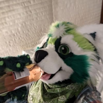 Mischief Maker suiter, lvl 31, they/them, green red panda, bike fanatic, give apples please